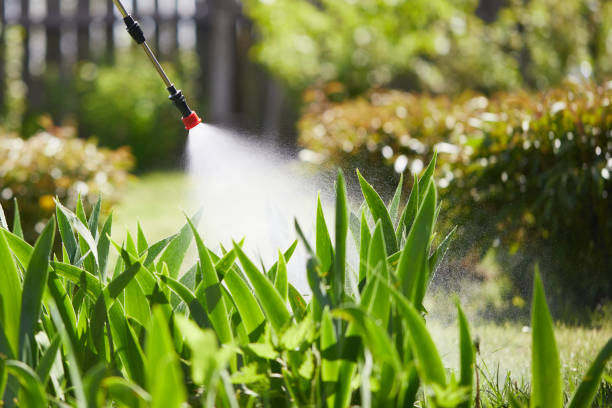 24/7 Emergency Wasp Removal experts in Middlebury, IN
