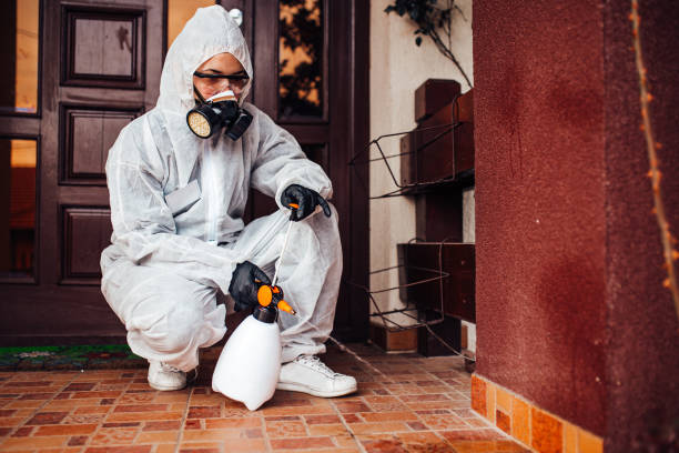 Reliable Wasp Removal contractor in Middlebury, IN by Show Me Pest Control